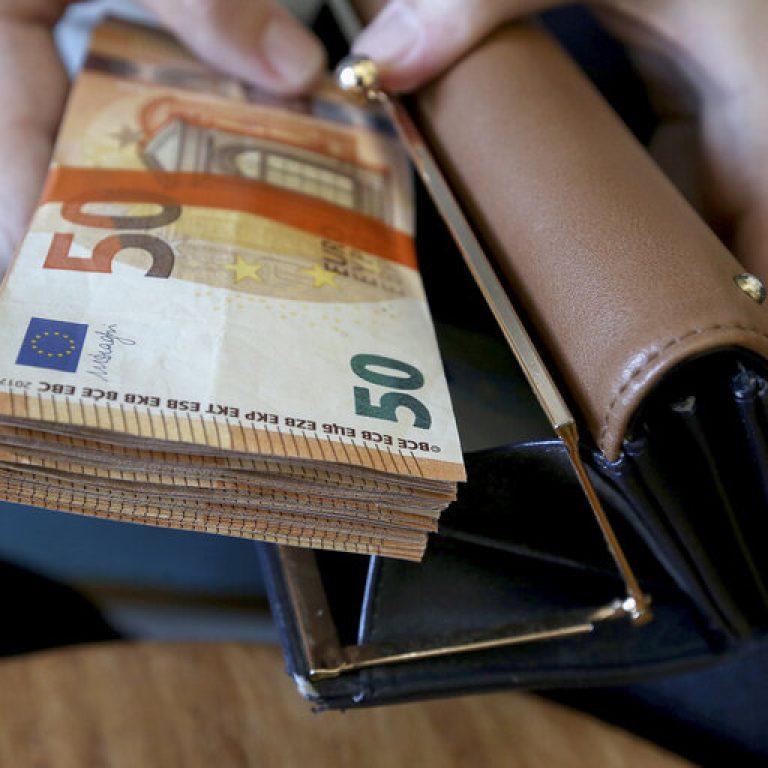 Euro - Cash money in the wallet